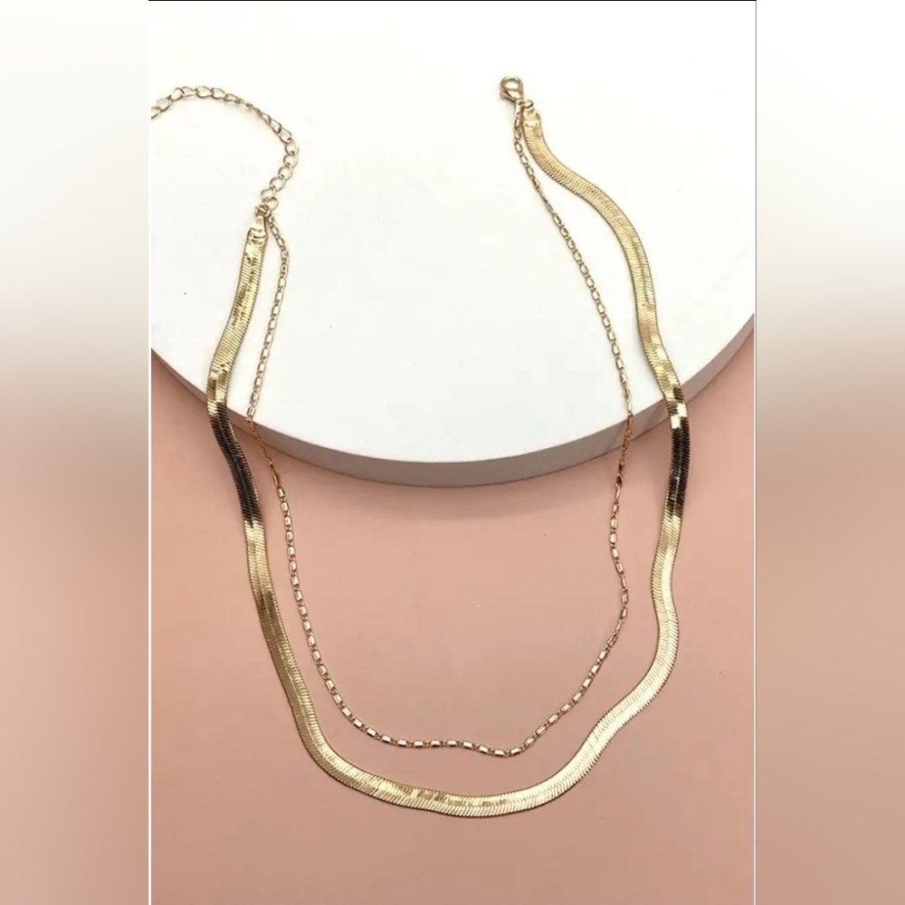 Double Snake and Largo Chain Necklace